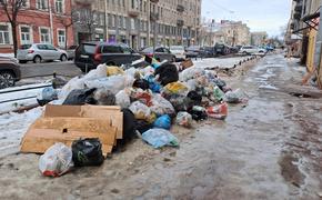 Горожане возмущены переполненными контейнерами в центре Петербурга  