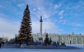 На главную елку Петербурга вернули звезду