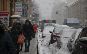 Петербуржцы пожаловались на неубранный снег в новом году свыше 450 раз