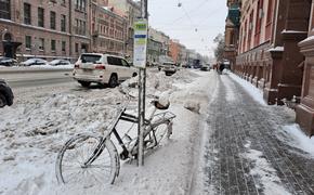 В Петербурге обнаружили свыше 500 авто с закрытыми номерами на платных парковках