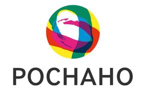 Роснано не может отчитаться о потраченных 43 млрд бюджетных рублей