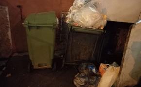 Жители Петрозаводска города выражают недовольство из-за обилия мусора и крыс