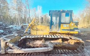 В Хабаровском крае мужчина незаконно заготовил 79 деревьев