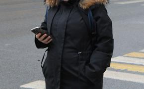 С момента запуска петербуржцы оплатили виртуальным «Подорожником» 39 тысяч поездок