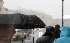 До вечера пятницы в Петербурге объявлен «желтый» уровень погодной опасности