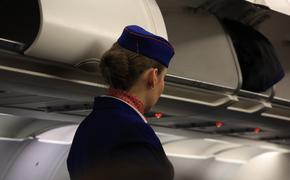Лоукостер AJet запустил ежедневные рейсы из Петербурга в Стамбул