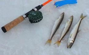 Фестиваль «Народная рыбалка на Амуре» объединит любителей зимнего лова