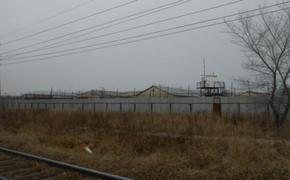 В колонии Комсомольска-на-Амуре раскрыли экстремистскую группировку