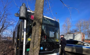 В Хабаровске водитель пассажирского автобуса умер за рулем