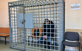Житель Хабаровского края с гвоздодером напал на руководителя приюта для животных