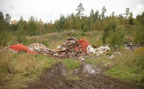 Смольный хочет ликвидировать все нелегальные свалки в Петербурге к 2030 году