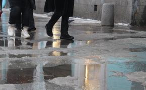 Минимум 16 петербуржцев получили травмы из-за снега с дождем