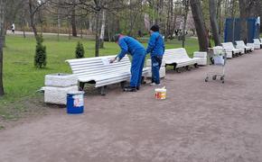 Переезд Tikkurila в другую область может снизить поступления в бюджет Петербурга