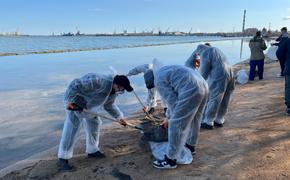 Шторм выбросил мазут на берег у Керчи
