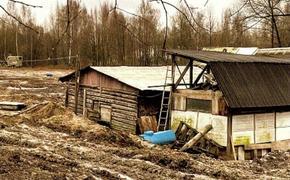 Рядом с конным клубом в Выборгском районе нашли неизвестные строения