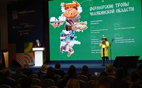 Три челябинских проекта прошли в финал Национальной премии «Мой бизнес»