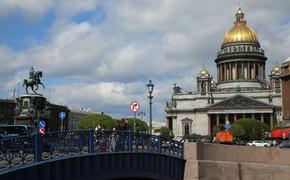 Стоимость туй для сада-трансформера на Синем мосту выросла на 23 тысячи за год