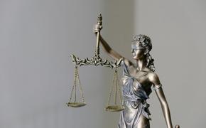 Судят риелтора, укравшего у сирот 70 млн рублей