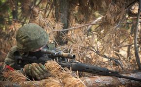 Сводки от военкоров с самых острых участков фронта