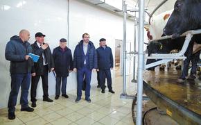 Аграриям Приангарья напомнили об эффективности и пообещали защиту