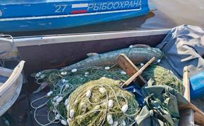 За вылов осетров в Хабаровском крае осудили рыболова и забрали его судно