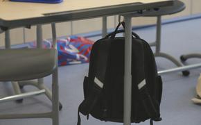 Бастрыкину доложат о ходе дела об избиении семиклассника в Петербурге