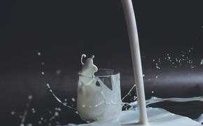 Стало известно, какой напиток поможет нормализовать уровень холестерина