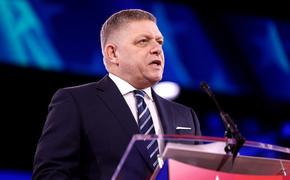 Фицо объяснил, зачем Зеленский пошел на подписание с США соглашения по природным ресурсам