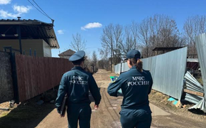 В Хабаровском крае выявлены виновники ландшафтных пожаров, среди них ребенок