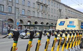 Самокатчики в Петербурге почти 5,5 раз нарушили ПДД с начала сезона