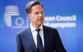 Рютте высказался о возможности вступления Украины в НАТО
