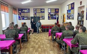 Собака, обнюхав военных, запрещенных препаратов не нашла