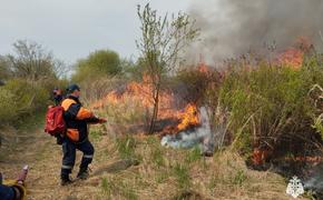 В Хабаровском крае горит почти три тысячи гектаров леса 