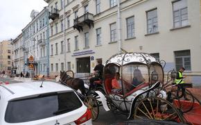 Власти Петербурга будут следить за гужевым транспортом в центре 