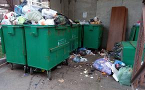 Прокуратура требует убрать незаконные свалки с проспекта Обуховской Обороны