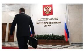 Депутаты предлагают МВД привлечь граждан к борьбе с незаконной миграцией