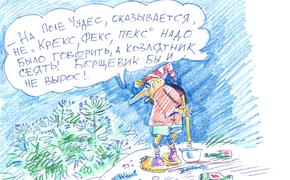 Не у дачный сезон?