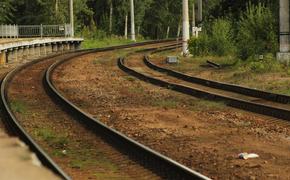 В Петербурге зафиксирован рост пассажиропотока на тактовых маршрутах 