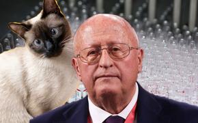 На самом деле риск или производители вакцин хотели бы заработать на кошках?