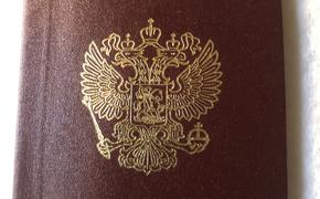 Уроженец Донецка шоумен Александр Ревва получил российское гражданство