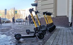 Самокаты назвали частью транспортной системы Петербурга