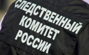 В убийстве группы подростков и ранении четверых несовершеннолетних в Байкальске подозревается 17-летний юноша