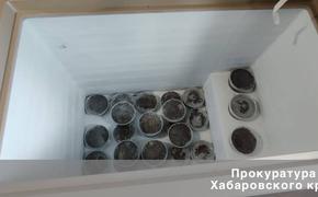 Икра, сеть и лодка: в Хабаровском крае раскрыли крупное браконьерство