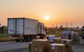 Они ангелы. Их ждут