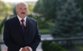 Лукашенко: дефицит белорусской картошки был создан искусственно и по внутриполитическим причинам