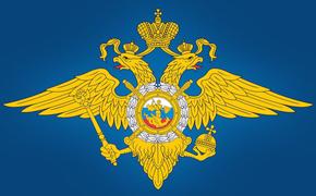 Невидимый фронт: МВД России успешно борется с кибермошенниками