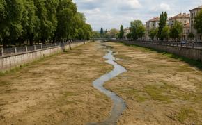 Главная река Симферополя зарастает без воды