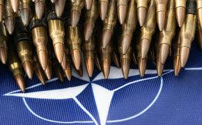 Депутат Верховной Рады считает, что НАТО заинтересовано в продолжении конфликта, чтобы забрать территории