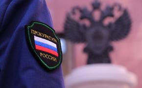 Хабаровчанку арестовали за истязание собственного ребенка