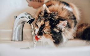 Жители Первоуральска рассказали, что из кранов снова течёт чёрная вода